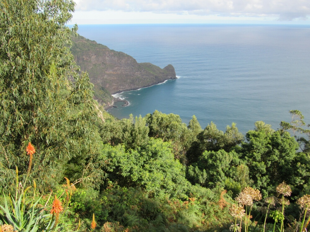 Küste im Nordosten Madeiras